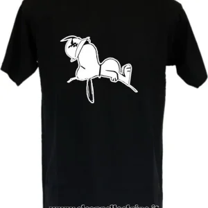 Snoopy Alpino Addormentato